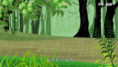 梅雨季节是几月份 梅雨季节是哪月 1分钟详细介绍